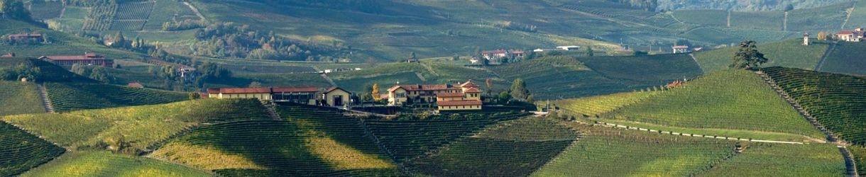 Cordero di Montezemolo