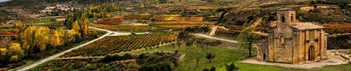 Senorio de San Vicente