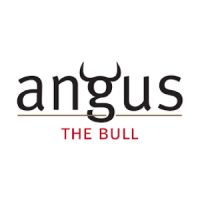 Angus the Bull
