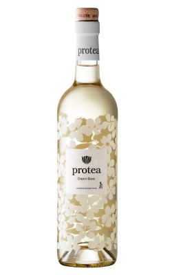 Anthonij Rupert Protea Chenin Blanc 2024