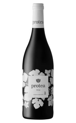 Anthonij Rupert Protea Shiraz 2022