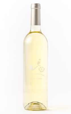 Babylonstoren Chenin Blanc 2025