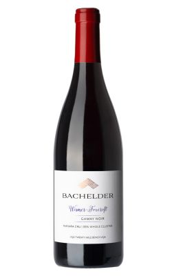 Bachelder Wismer-Foxcroft Gamay 2022