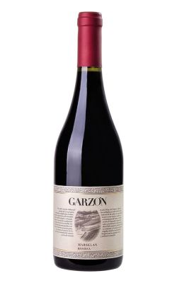 Bodega Garzón Reserva Marselan 2023