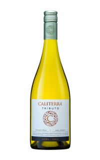 Caliterra Tributo Single Vineyard Sauvignon Blanc 2022