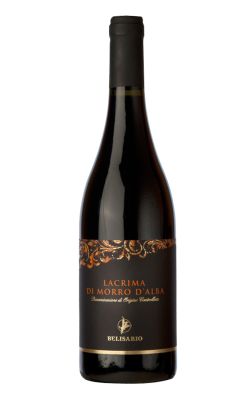 Cantine Belisario Lacrima di Morro d'Alba 2024