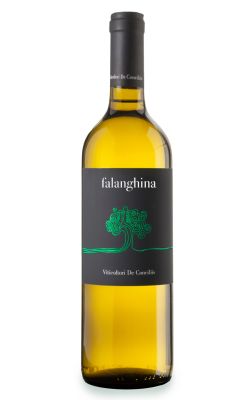 Viticoltori De Conciliis Falanghina 2024