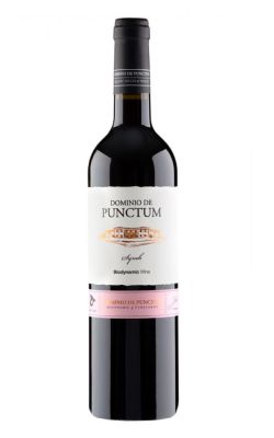 Dominio de Punctum Syrah 2024