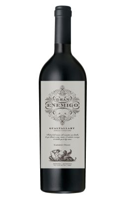Bodega Aleanna Gran Enemigo Single Vineyard Gualtallary 2020