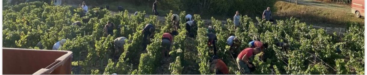 Domaine Goisot