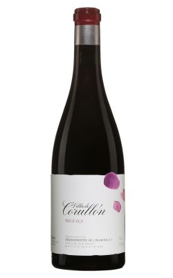 Descendientes de J. Palacios Villa de Corullon 2022