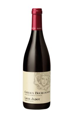 Louis Jadot Coteaux Bourguignons Rouge 2024