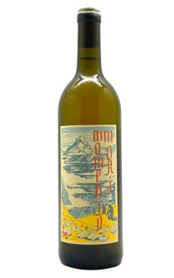 Momento Mori Staring at The Sun 2021