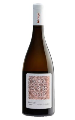 Oenops Kidonitsa 2022