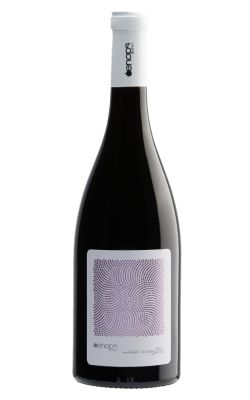 Oenops Xinomavro 2023