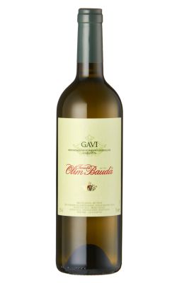 Tenuta Olim Bauda Gavi DOCG 2024