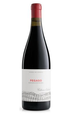 Pegaso Pizarra Garnacha 2022