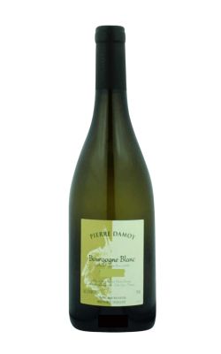Domaine Pierre Damoy Bourgogne Blanc Les Ravry 2013