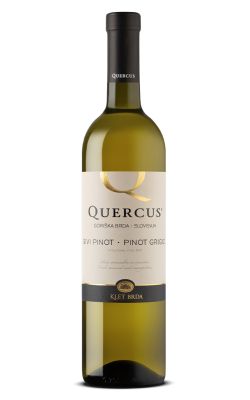 Quercus Pinot Grigio 2024