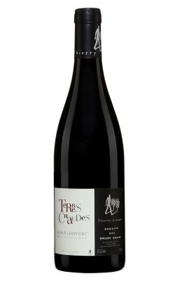 Domaine des Roches Neuves Saumur-Champigny Terres Chaudes 2021