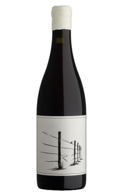 Savage Thief In The Night Grenache 2025