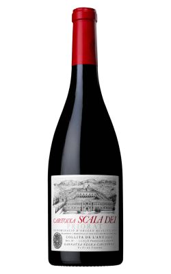 Scala Dei Cartoixa 2019