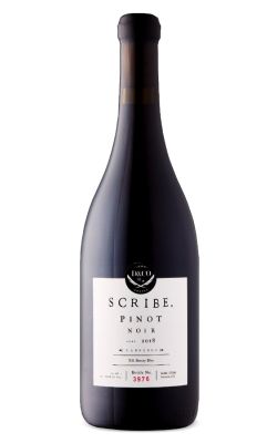 Scribe Carneros Pinot Noir 2023
