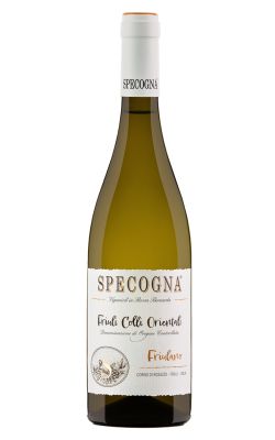 Specogna Friulano 2024