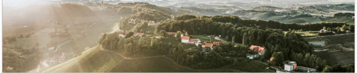 Weingut Tement