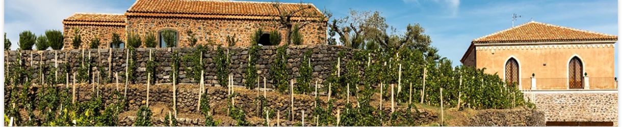 Torre Mora