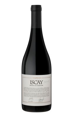 Trapiche Iscay Syrah Viognier 2019