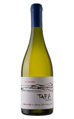 Ventisquero Tara White Wine 1 - Chardonnay 2020