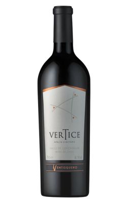 Ventisquero Vertice 2021