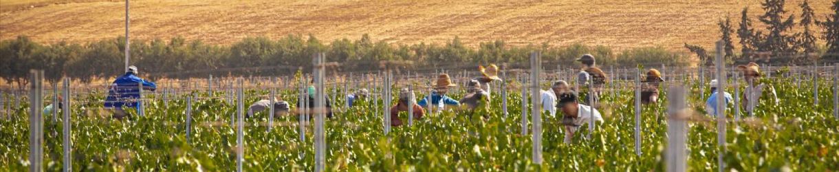 Domaine de la Zouina