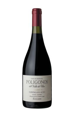 Zuccardi Poligonos Gualtallary Malbec 2022